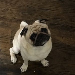 Meet your Posher, Robert